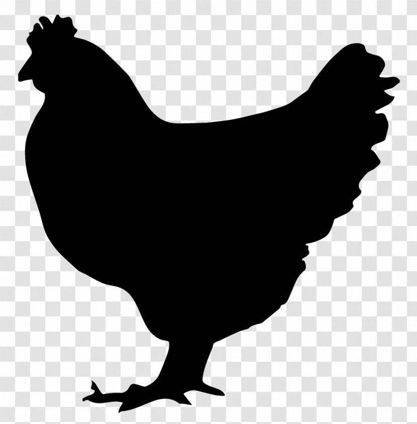 Chicken Rooster Hen Clip Art - Livestock Transparent PNG