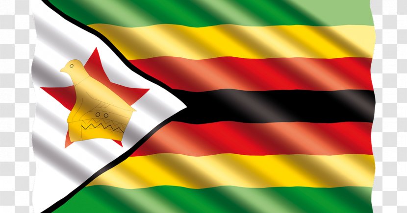 President Of Zimbabwe News Flag - Plymouth England Nightlife Transparent PNG