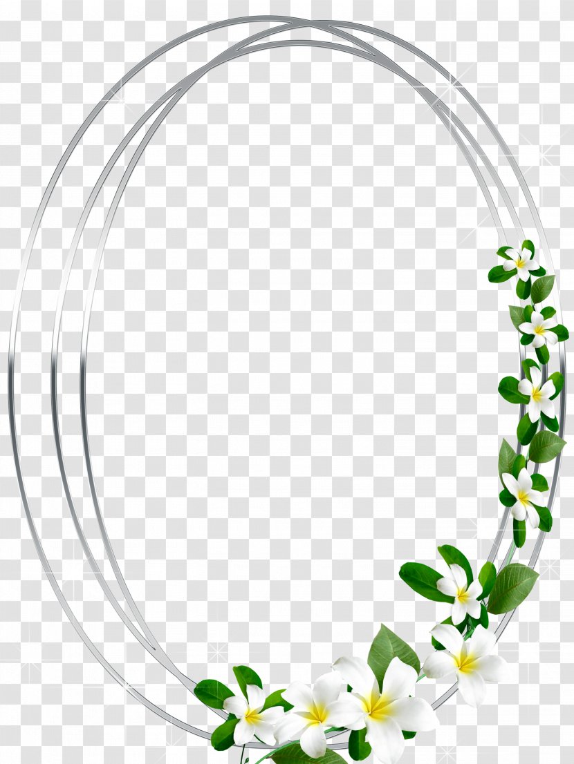 Picture Frames Photography Clip Art - Microsoft Word - Round Frame Transparent PNG