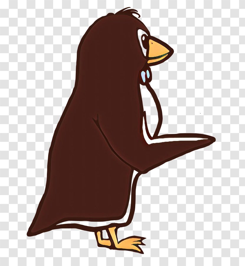 Penguin - Beak - Bird Transparent PNG