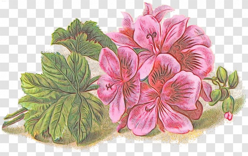 Flower Plant Pink Flowering Petal - Paint - Perennial Herbaceous Transparent PNG