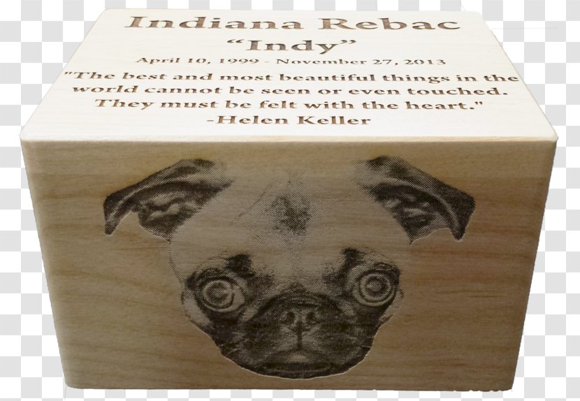 Pug Cremation Bestattungsurne Crematory - Dog Like Mammal Transparent PNG
