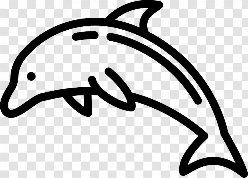 Dolphin - Symbol - Mammal Transparent PNG