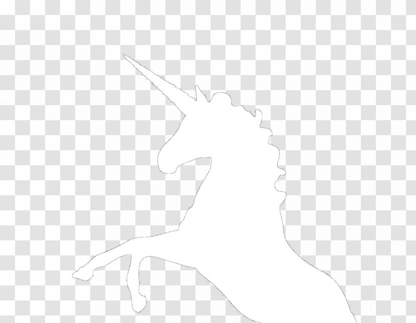 Horse Unicorn Nose White Sketch - Black And Transparent PNG