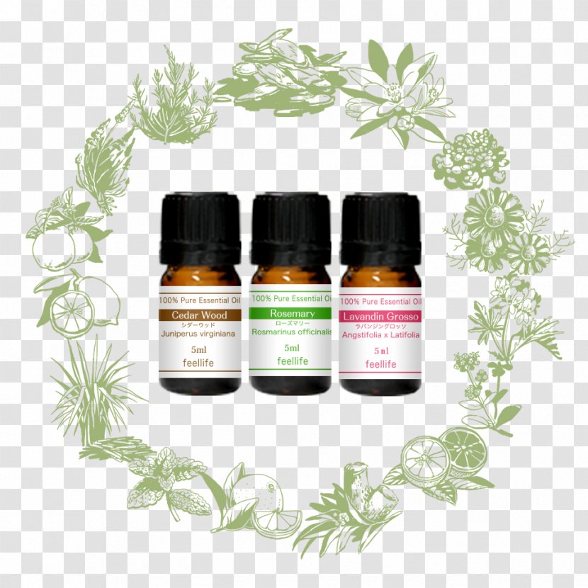 Herbalism Flavor Essential Oil Fragrance - Odor - Gold Transparent PNG