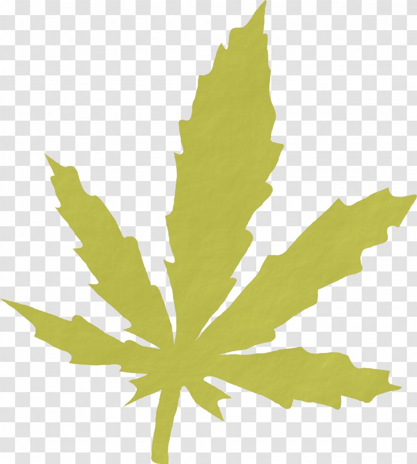 Cannabis Smoking Medical Legality Of Clip Art - Leaf Transparent PNG