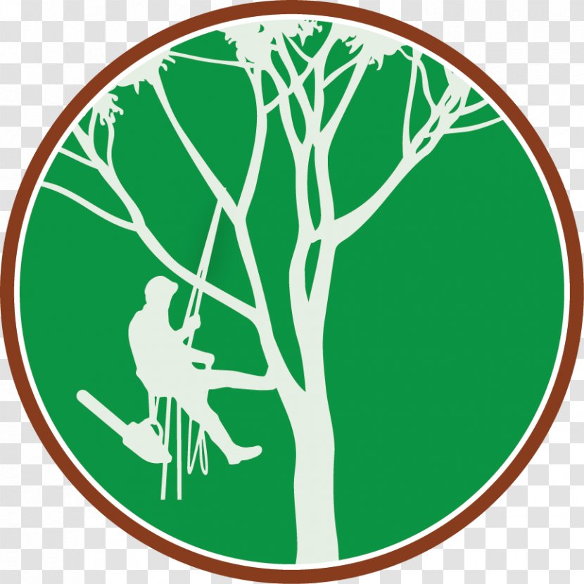 Tree Climbing Arborist Branch Clip Art - Plant Transparent PNG