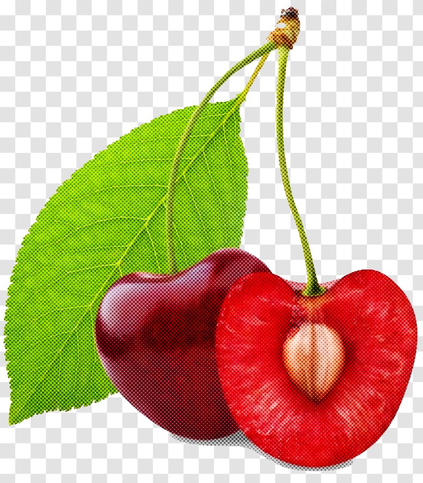 Natural Foods Cherry Plant Leaf Fruit - Tree Accessory Transparent PNG
