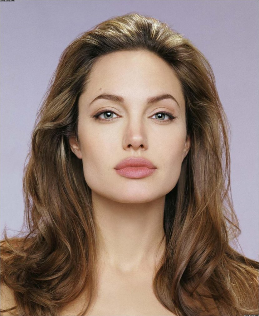 Angelina Jolie Hollywood Salt Actor YouTube - Flower Transparent PNG