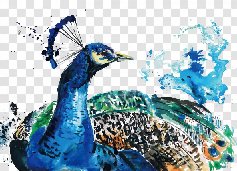 Watercolor Painting Peafowl - Vector Peacock Transparent PNG