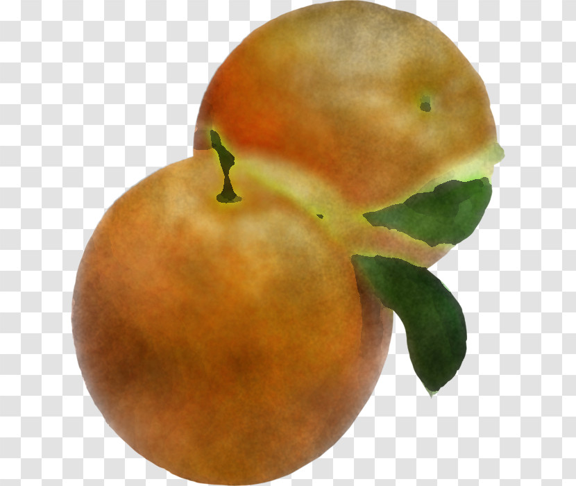 Apple Citrus Transparent PNG