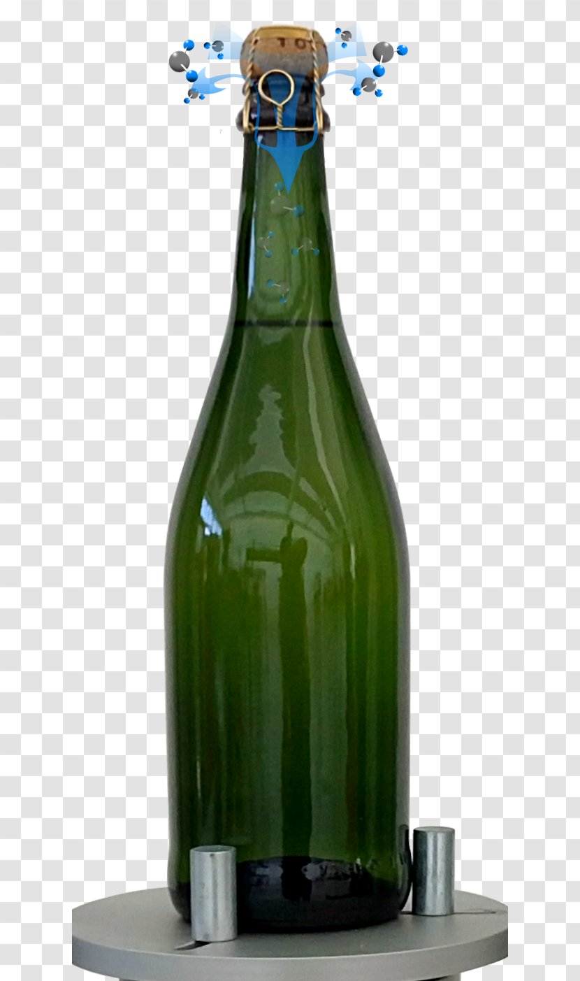 Champagne Glass Bottle Wine Beer - Fn Transparent PNG