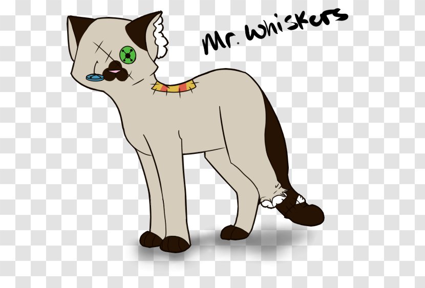 Whiskers Cat Cougar Canidae Dog - Vertebrate Transparent PNG