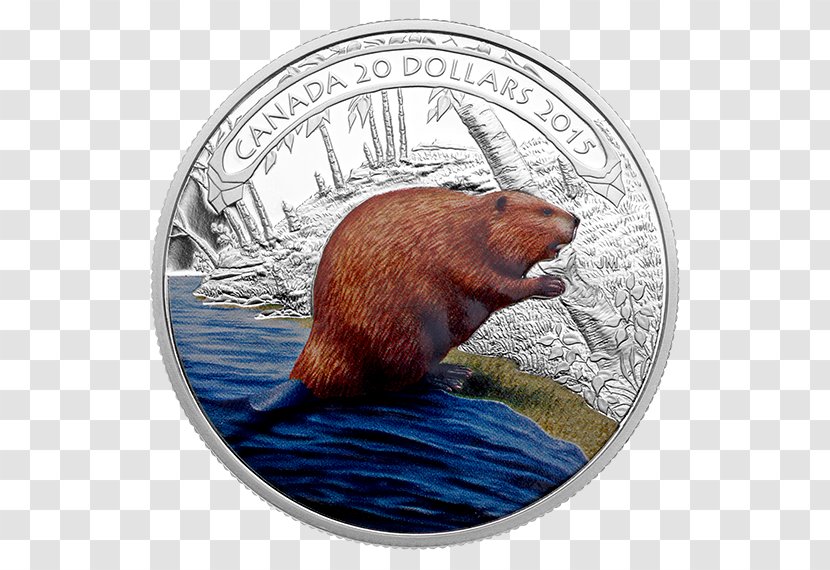 Beaver Silver Coin Bullion - Organism Transparent PNG