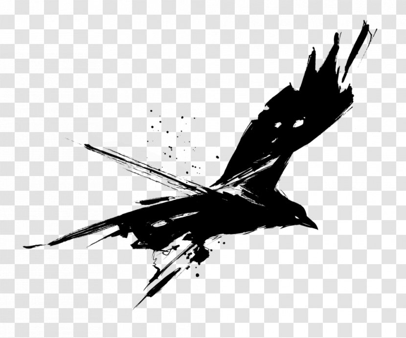 Common Raven T-shirt Drawing Clip Art - Bald Eagle Transparent PNG