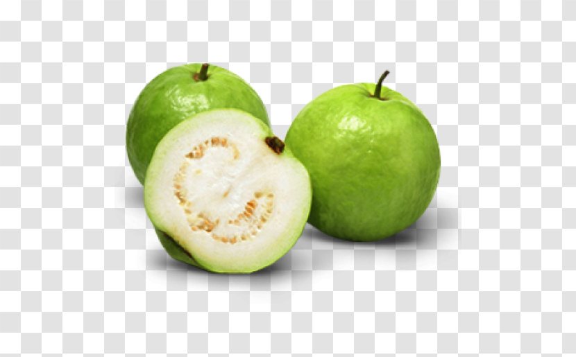 Common Guava Tropical Fruit Juice Vesicles - Persian Lime Transparent PNG