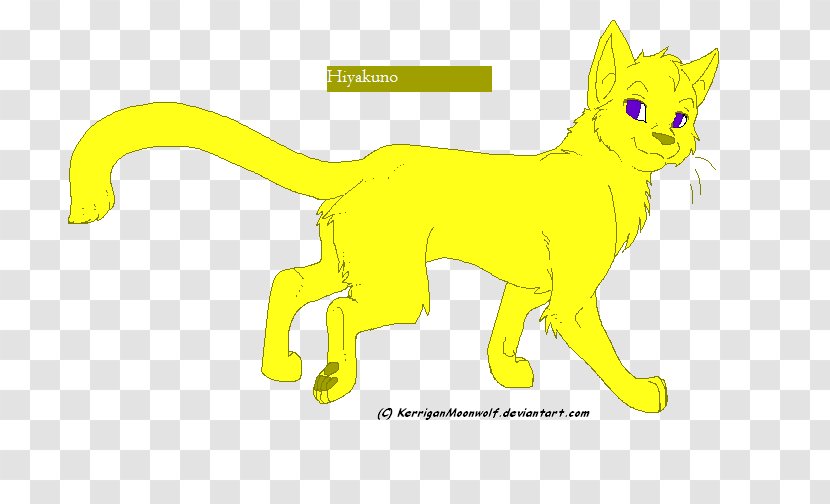 Whiskers Kitten Gray Wolf Cat Kiba - Yellow Transparent PNG