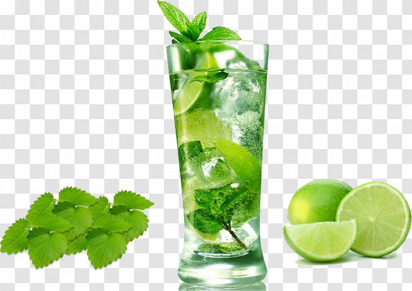 Mojito Cocktail Carbonated Water Cuban Cuisine Rum - Sugar - Lemonade Transparent PNG