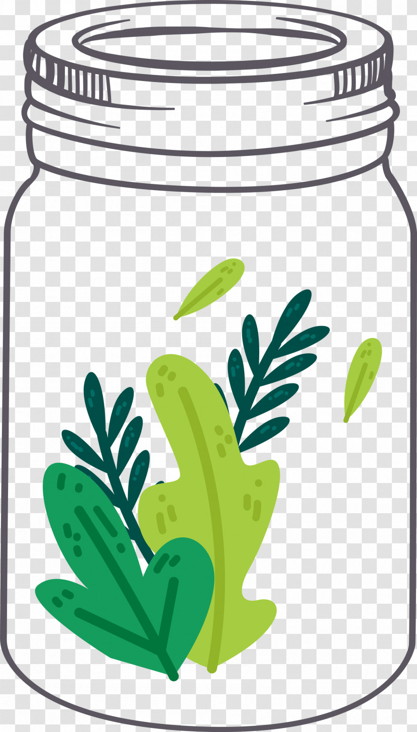 MASON JAR Transparent PNG