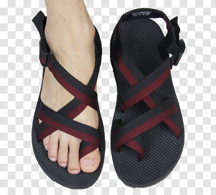 Slipper Sandal Shoe Flip-flops Boot - Product - Sandals Image Transparent PNG