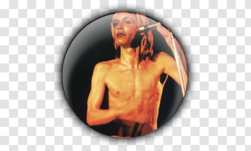 Iggy Pop The Stooges Raw Power Kill City LP Record - Silhouette - Tree Transparent PNG