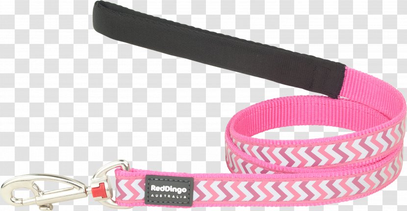 Leash Chihuahua Dingo Dog Collar - Horse Harnesses - Pink Glare Transparent PNG