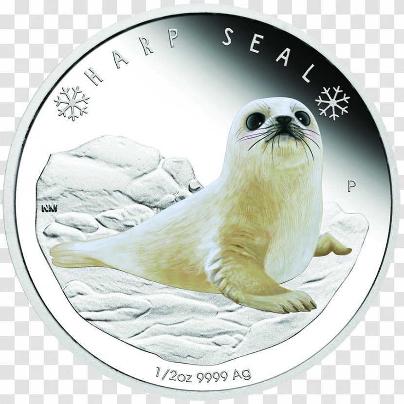 Sea Lion Perth Mint Arctic Fox Coin - Half Dollar Transparent PNG