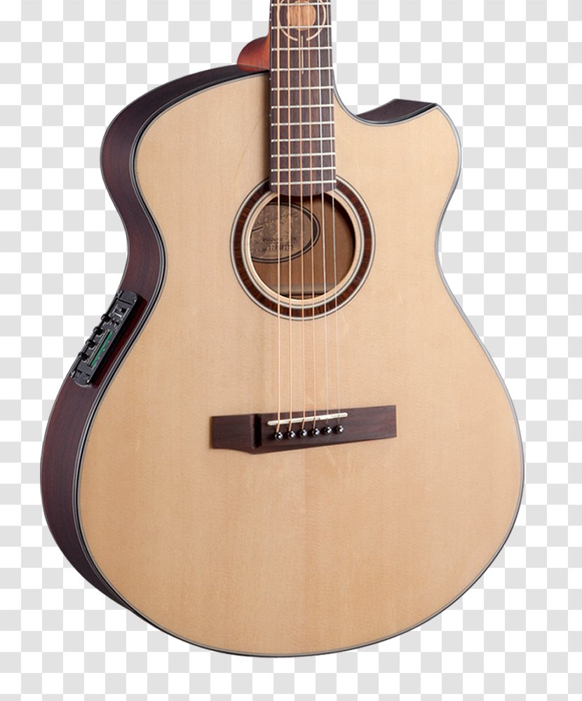 Acoustic Guitar Musical Instruments String Acoustic-electric - Slide - Truss Logo Transparent PNG