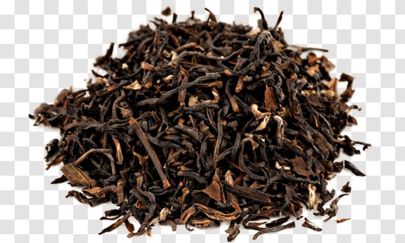 Nilgiri Tea Oolong Leaf Grading Assam - Tasting Transparent PNG