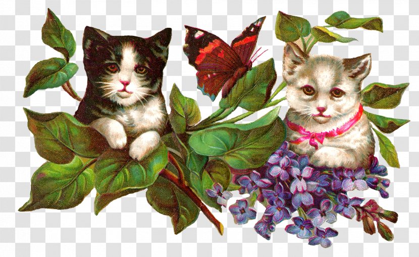 Cat Kitten Butterfly Clip Art - Whiskers - Wisteria Transparent PNG