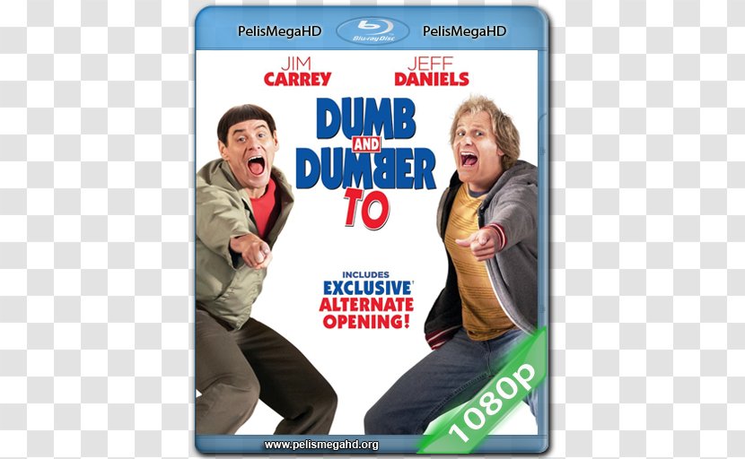 Blu-ray Disc Dumb And Dumber Digital Copy UltraViolet DVD - Comedy - Paul Blackthorne Transparent PNG