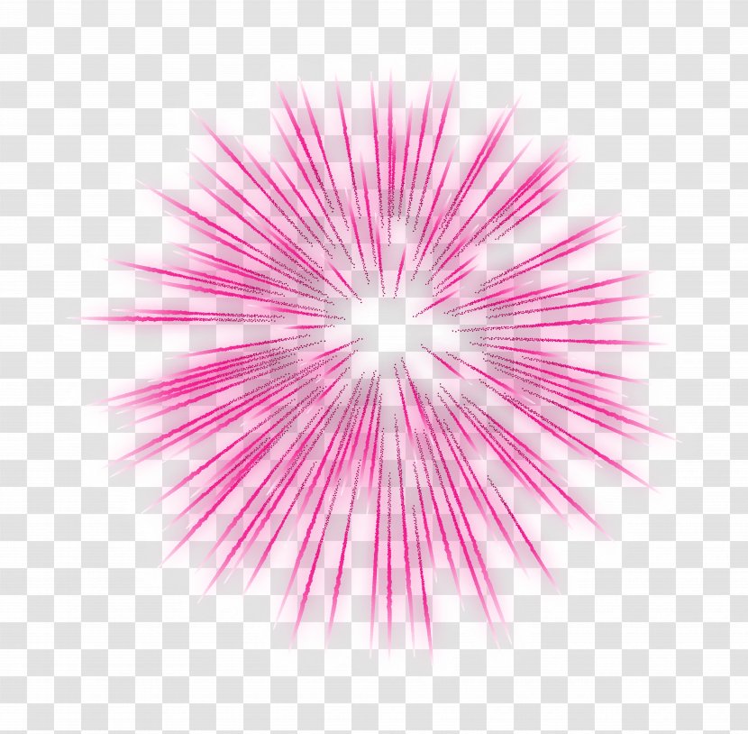 Fireworks - Flower - Firework Pink Transparent Clip Art Image Transparent PNG