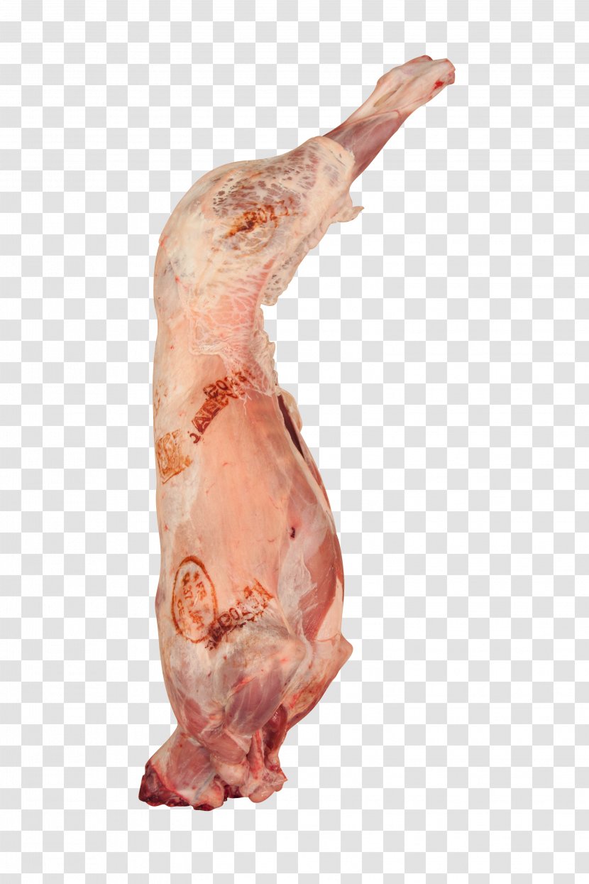 Lamb And Mutton Mandi Sheep Meat Goat - Watercolor Transparent PNG