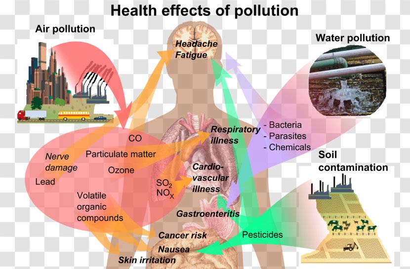 Health Effect Air Pollution Water - Human Impact On The Environment Transparent PNG