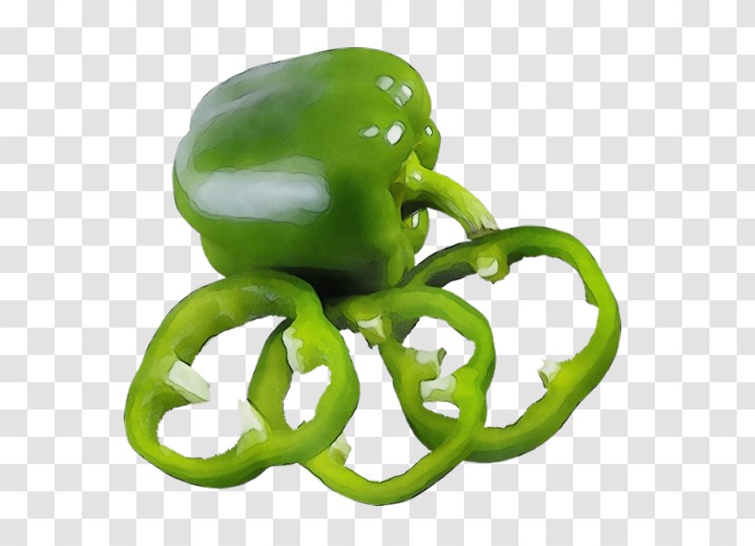 Bell Pepper Green Peppers And Chili Pimiento - Octopus - Plant Capsicum Transparent PNG