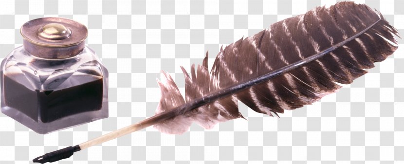 Paper Writing Screenplay Ink - Feather Transparent PNG