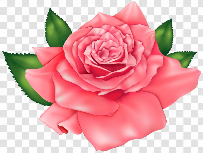Rose Pink Clip Art - Beautiful Clipart Image Transparent PNG