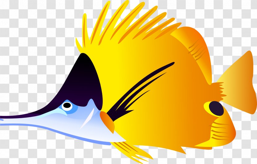 Tropical Fish Carassius Auratus Clip Art - Beak - Picture Download Transparent PNG