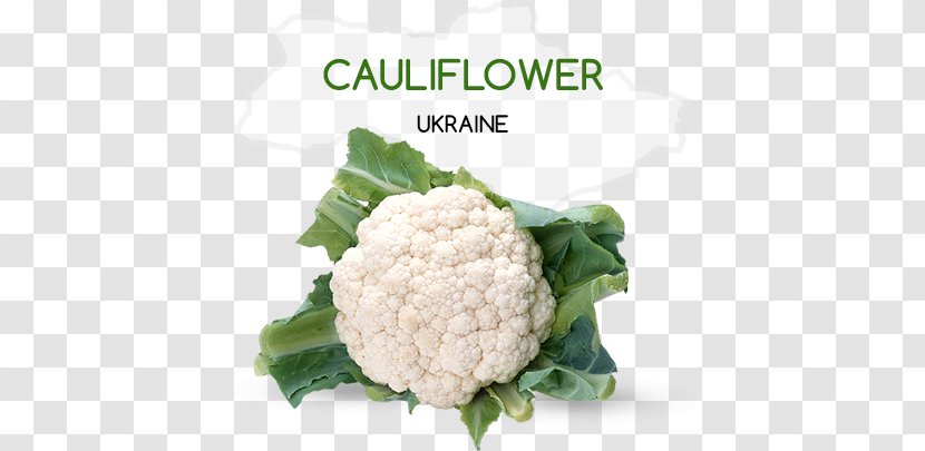 Cauliflower Broccoli Vegetable Capitata Group Transparent PNG