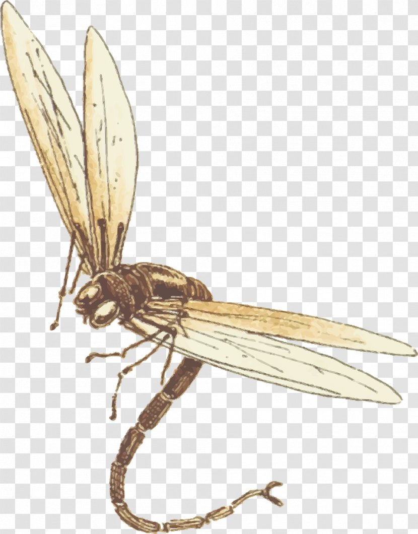 Insect Clip Art - Flying Dragonfly Transparent PNG