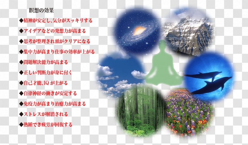 Miyazaki Meditation Satori Education Lesson - Text Transparent PNG