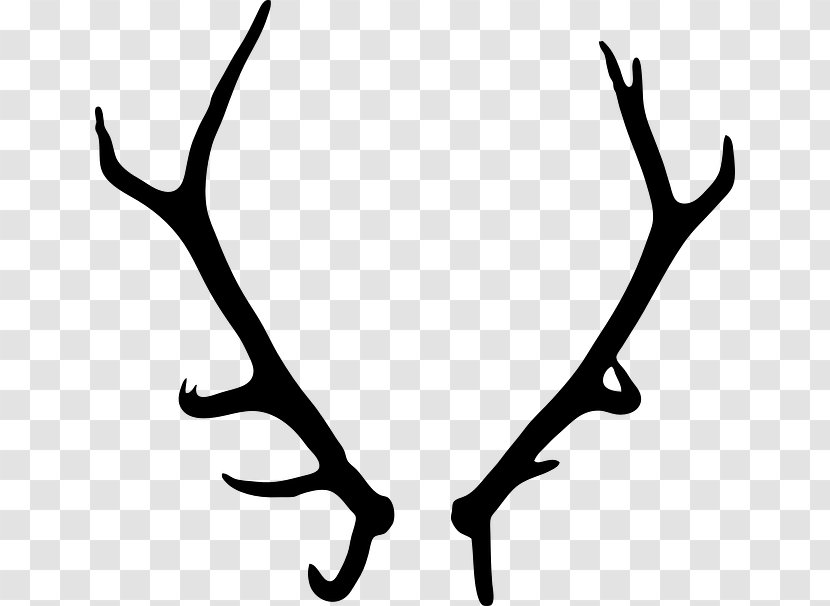 Deer Elk Antler Clip Art - Monochrome Photography Transparent PNG