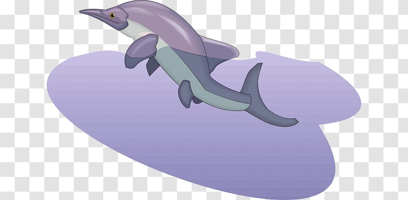 Common Bottlenose Dolphin Purple Clip Art - Vertebrate Transparent PNG