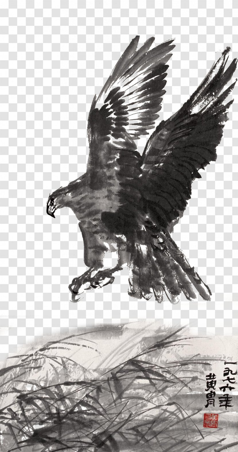 Ink Wash Painting Hawk Brush - Traditional Jet Eagle Digging Material Transparent PNG