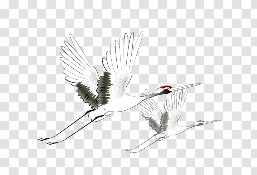 Crane Bird Flight - Beak - Flying Egret Transparent PNG