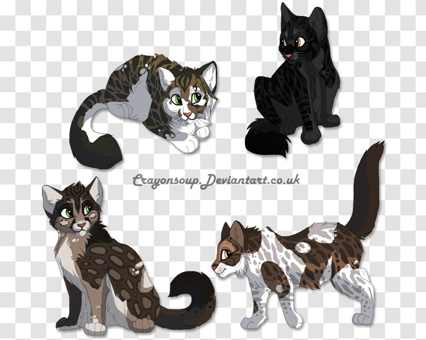 American Wirehair DeviantArt Kitten Work Of Art - Fur - Dancing Flames Transparent PNG