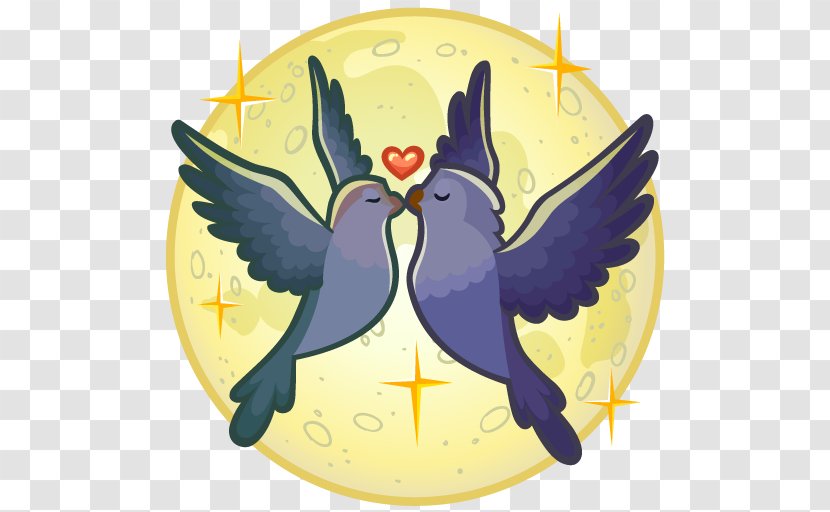 Macaw Clip Art Illustration Beak - Lovebird Transparent PNG