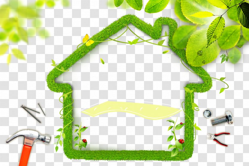 Plant Nature Aloe Vera Health Food - Energy - Green House Transparent PNG