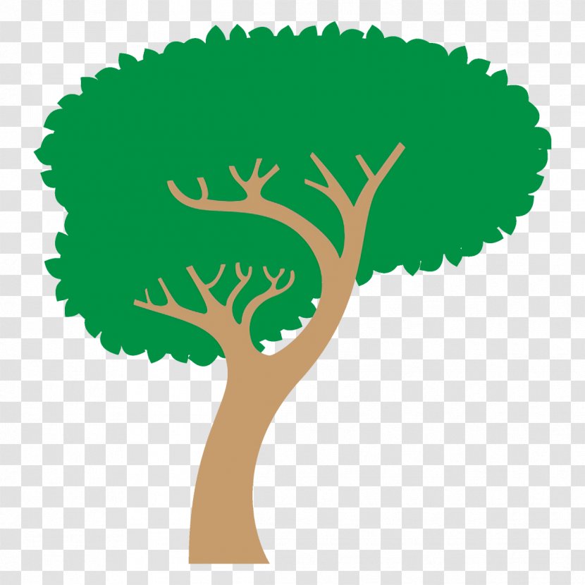 Arbor Day - Cartoon Tree - Logo Plant Stem Transparent PNG