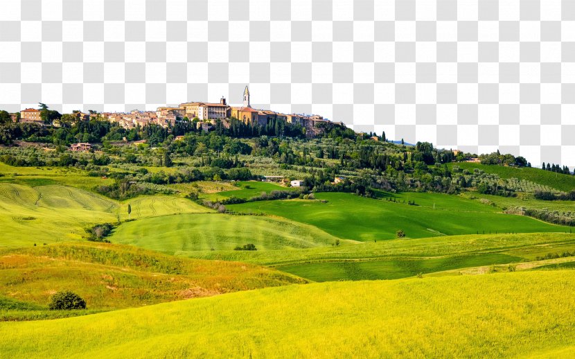 Pienza High-definition Television 4K Resolution 1080p Wallpaper - Grass Family - Italy Tuscany Prairie Eleven Transparent PNG